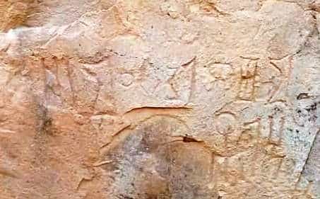 الشرعي الذراع 5